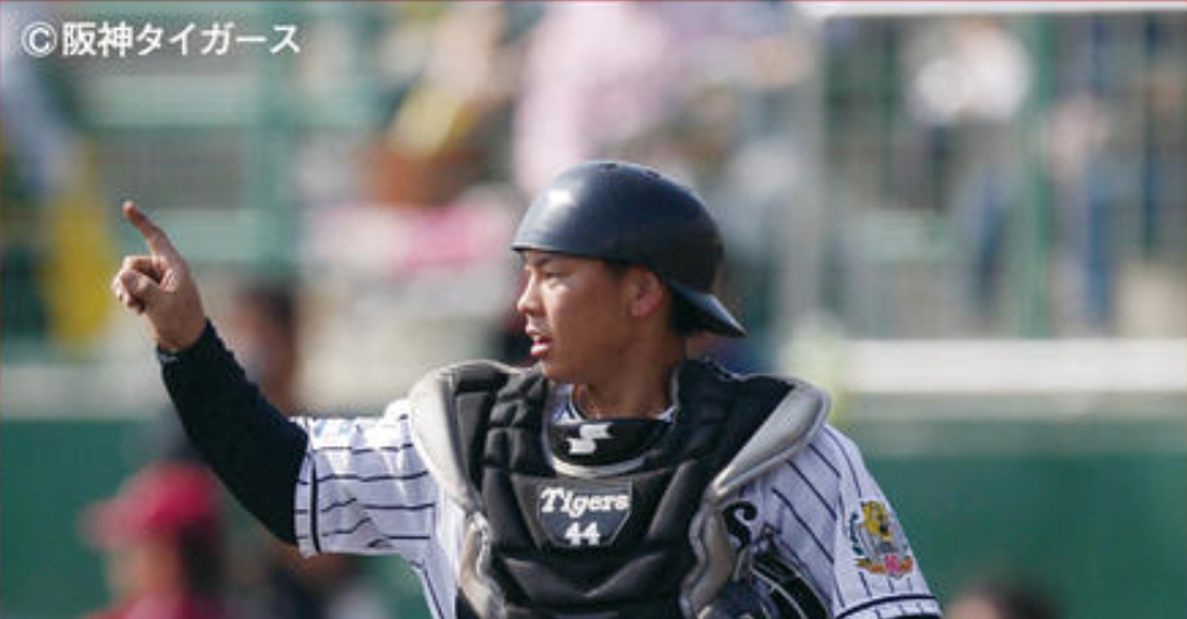 【OB/OGの活躍】梅野隆太郎さん［2014年卒］【プロ野球選手】